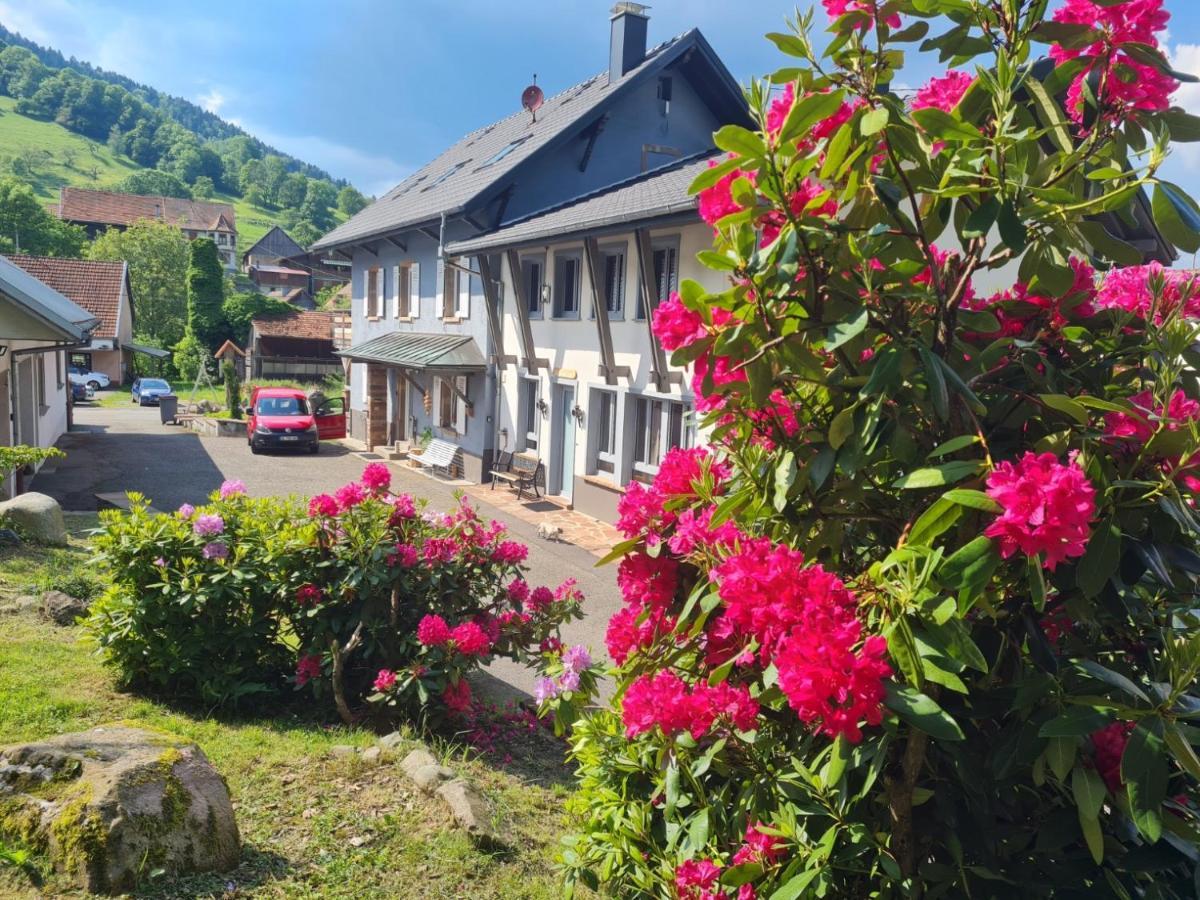 Locations Des 3 Sommets Avec Sauna Et Spa En Alsace Sondernach Εξωτερικό φωτογραφία