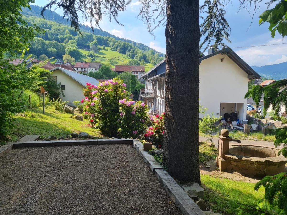 Locations Des 3 Sommets Avec Sauna Et Spa En Alsace Sondernach Εξωτερικό φωτογραφία