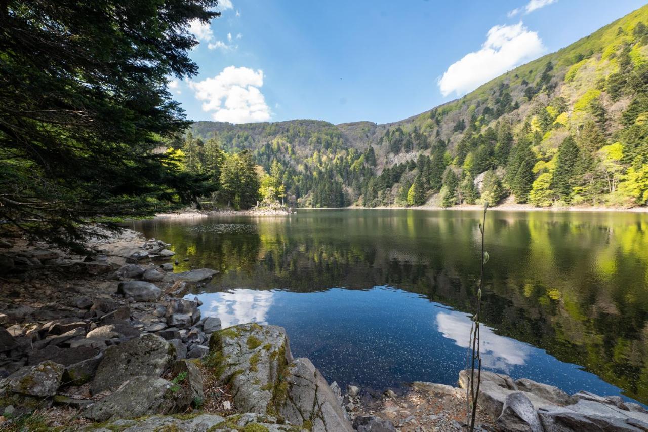 Locations Des 3 Sommets Avec Sauna Et Spa En Alsace Sondernach Εξωτερικό φωτογραφία